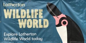 Lotherton Hall Wildlife World