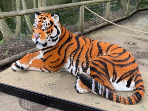Chester Zoo Big Cat Lego